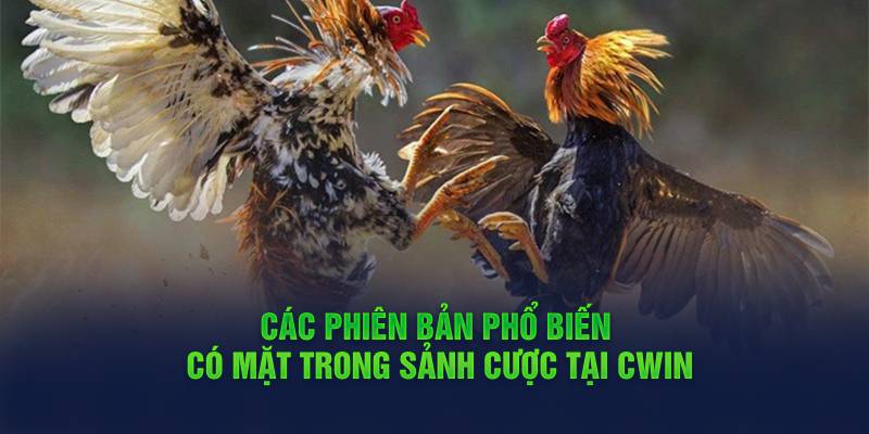 cac-phien-ban-pho-bien-co-mat-trong-sanh-cuoc-tai-cwin